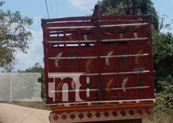 1 Foto: Hombre muere al caer del camión en el que viajaba en Quilalí, Nueva Segovia / TN8