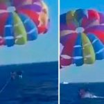 Tiburón salta del agua y arranca parte del pie de un turista Tiburón salta del agua y arranca parte del pie de un turista