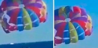 Tiburón salta del agua y arranca parte del pie de un turista