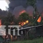 20 familias quedaron a la intemperie por voraz incendio en Kukra Hill Foto: 20 familias quedaron a la intemperie por voraz incendio en Kukra Hill / TN8