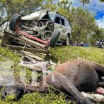 Supuestamente, la invasión de carril dejó como resultado un accidente vial en Jalapa Supuestamente, la invasión de carril dejó como resultado un accidente vial en Jalapa