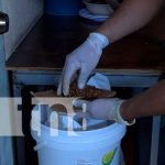 Inicio la primera Jornada de Desratización, en el centro de compras Rigoberto López Pérez en Jinotega