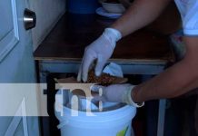 Aplican Jornada de Desratización en el mercado de Jinotega Inicio la primera Jornada de Desratización, en el centro de compras Rigoberto López Pérez en Jinotega