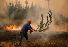 Chile se encuentra en estado de emergencia por incendios forestales Foto: Chile se encuentra en estado de emergencia por incendios forestales / Cortesía