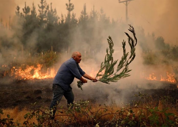 Foto: Chile se encuentra en estado de emergencia por incendios forestales / Cortesía