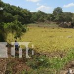 Managua ejecuta el «Plan Invierno» para evitar un impacto trágico Managua ejecuta el "Plan Invierno" para evitar un impacto trágico