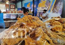 Crujiente, delicioso y al punto: “El Granadino” con el mejor chicharrón y frito Foto: Conozca al popular “El Granadino” donde encuentra el mejor chicharrón y frito de cerdo / TN8