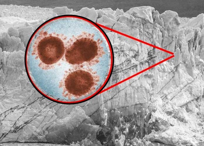 Científicos reviven virus “zombie” que puede ser letal para el ser humano