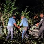 Motorizado se estrella contra un cerco en Granada Foto: Motorizado se estrella contra un cerco en Granada/TN8