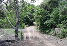 Más comunidades beneficiadas con inauguración de caminos en Jinotega Más comunidades beneficiadas con inauguración de caminos en Jinotega