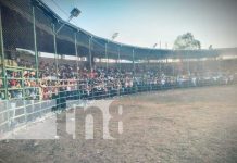 Familias disfrutan de fiestas patronales en San José de Los Remates Foto: Familias disfrutan de fiestas patronales en San José de Los Remates / TN8
