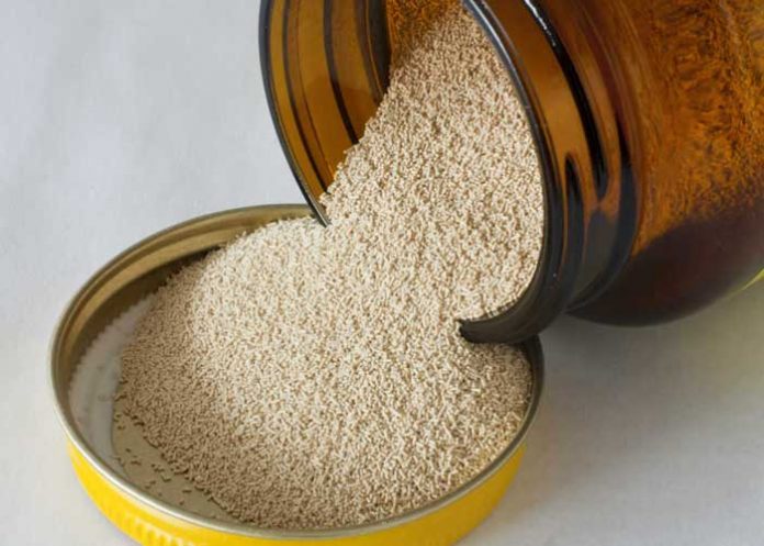 ¿Cerveza instantánea? Así es y sería uno de los “mejores inventos”