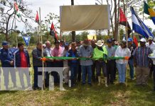Tiktik Kaanú, una comunidad indígena con un ciclo de estudios completo Foto: Tiktik Kaanú, una comunidad indígena con un ciclo de estudios completo / TN8