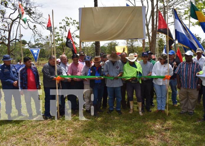 Foto: Tiktik Kaanú, una comunidad indígena con un ciclo de estudios completo / TN8