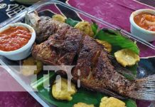 Arte culinario de Cuaresma listo en el comedor La Milpa en Jinotega Arte culinario de Cuaresma listo en el comedor La Milpa en Jinotega