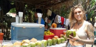 Foto: Los “Cocos Locos” una bebida única de la Isla de Ometepe / TN8