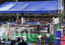 Gemelos Promotions y ALMA realizan segunda velada boxística profesional en Managua Foto: Gemelos Promotions y ALMA realizan segunda velada boxística profesional en Managua / TN8