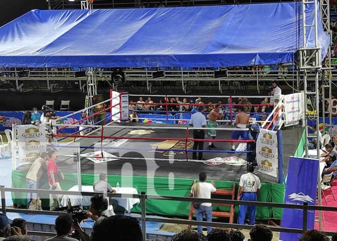 Foto: Gemelos Promotions y ALMA realizan segunda velada boxística profesional en Managua / TN8