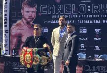 Canelo no le importa el dinero, quería pelear en Guadalajara canelo, álvarez, boxeo, guadalajara,