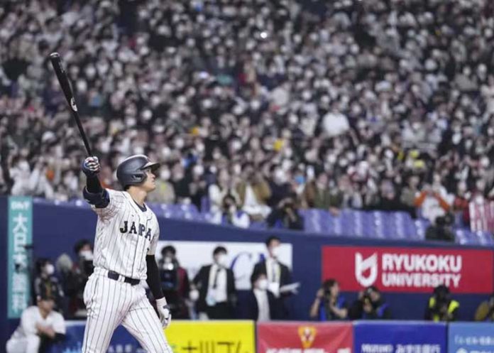 shohei, ohtani, clásico, mundial, béisbol,