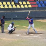 caribe, sur, pomares,