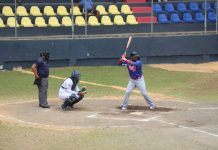 caribe, sur, pomares,