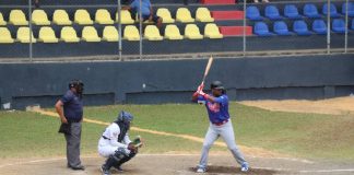 caribe, sur, pomares,