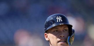 aaron, judge, yanquis, nueva, york,
