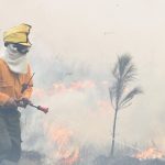 Incendio consume 3 mil hectáreas en Argentina Incendio consume 3 mil hectáreas en Argentina