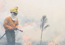 Incendio consume 3 mil hectáreas en Argentina