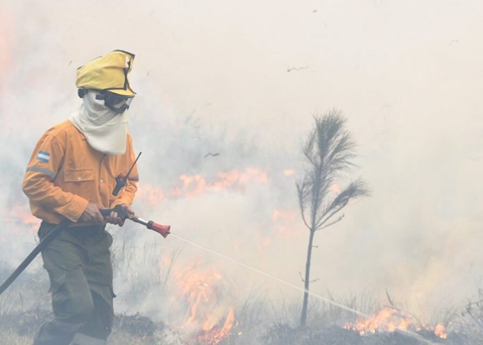 Incendio consume 3 mil hectáreas en Argentina