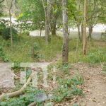 Foto: Agresión deja malherido a un joven en Quilalí, Nueva Segovia / TN8