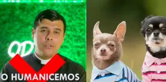 Sacerdote pide no humanizar a los animales “No valen más que un humano”