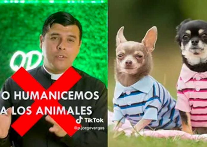 ani Sacerdote pide no humanizar a los animales “No valen más que un humano”
