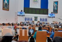 Asamblea Nacional honra con sesión especial a los periodistas en su día nacional