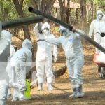 Nicaragua desarrolla simulacro de caso positivo de influenza aviar Foto: Simulacro sobre influenza aviar en Nicaragua / TN8