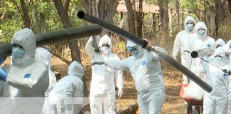 Foto: Simulacro sobre influenza aviar en Nicaragua / TN8