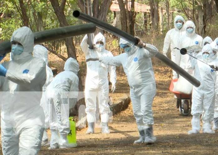 Foto: Simulacro sobre influenza aviar en Nicaragua / TN8