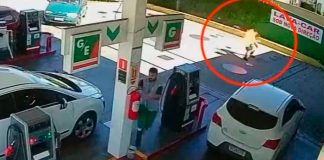 ¡Imágenes fuertes! Rocía con gasolina a cliente y le prende fuego en Brasil
