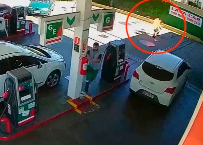 ¡Imágenes fuertes! Rocía con gasolina a cliente y le prende fuego en Brasil