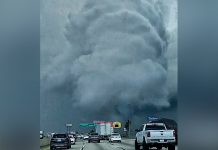 Devastador tornado deja caos en el sur de California tras ser azotado por tormentas Devastador tornado deja caos en el sur de California tras ser azotado por tormentas