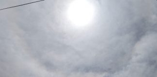 Foto: Ambiente soleado en Managua