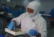 Camarones de Nicaragua S. A comenzará exportación a China