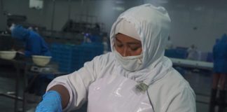 Camarones de Nicaragua S. A comenzará exportación a China