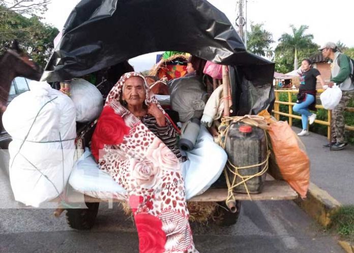 carregra-2 Foto: Una tradición de familias de Granada son las carretas peregrinas / TN8