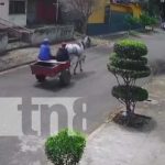 ¡Degenere! Carretoneros roban teléfono en Bello Horizonte, Managua (VIDEO) Foto: Robo de carretoneros en Bello Horizonte, Managua / TN8