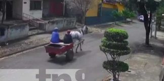 Foto: Robo de carretoneros en Bello Horizonte, Managua / TN8