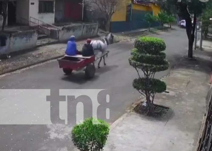 carret-1 Foto: Robo de carretoneros en Bello Horizonte, Managua / TN8