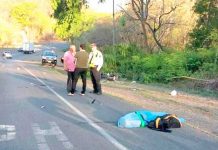 «Nica» muere tras invadir carril y ser atropellado por un carro en Costa Rica "Nica" muere tras invadir carril y ser atropellado por un carro en Costa Rica