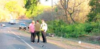 "Nica" muere tras invadir carril y ser atropellado por un carro en Costa Rica